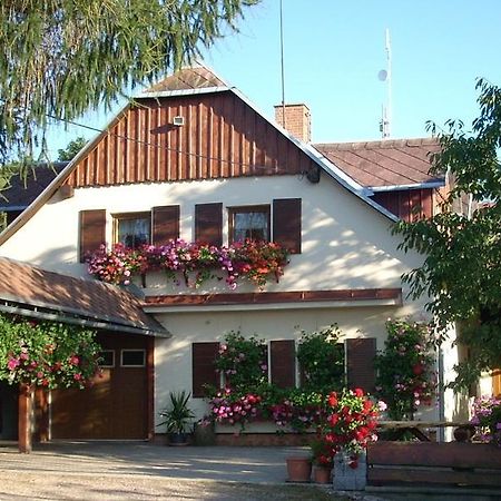 Pension Ivanka Jestrabi V Krkonosich Bagian luar foto
