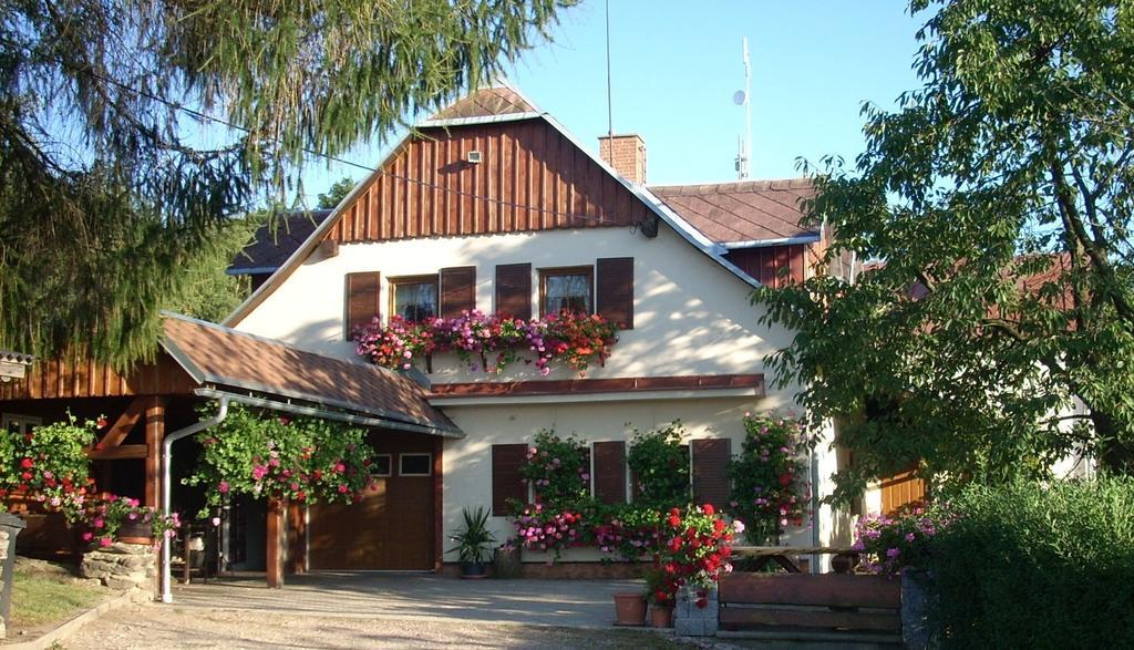 Pension Ivanka Jestrabi V Krkonosich Bagian luar foto